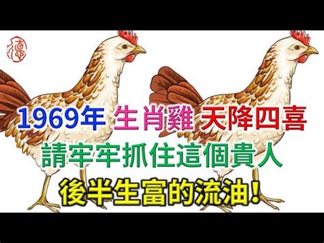 1969 生肖|生肖雞：1969年是什麼命？